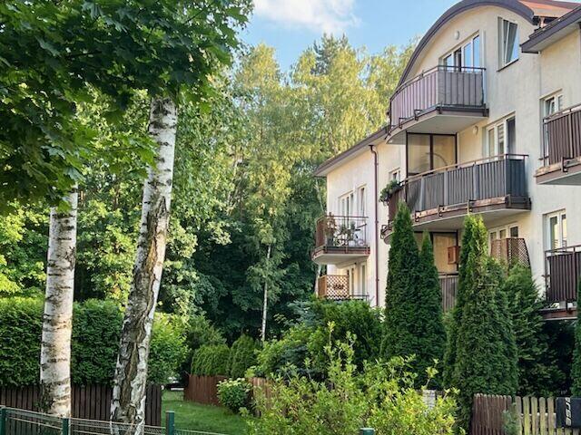 mieszakanie przy lesie