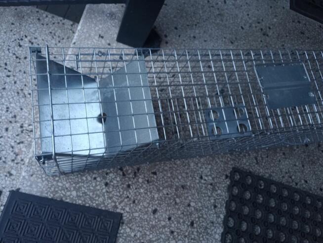 Sprzedam pułapkę na kuny, szczury