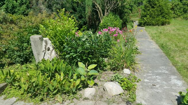 Dwie działki z domem do sprzedania 2100m2