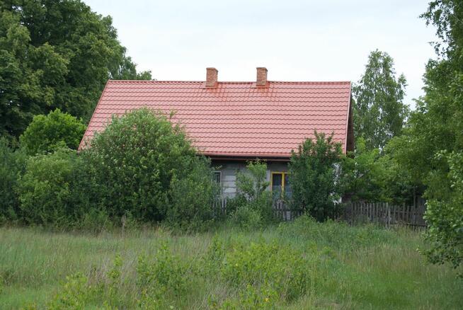 Działka rolno-budowlana o pow. 5,63 ha we wsi Przedświt