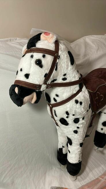 Konik na biegunach Bayer Chic