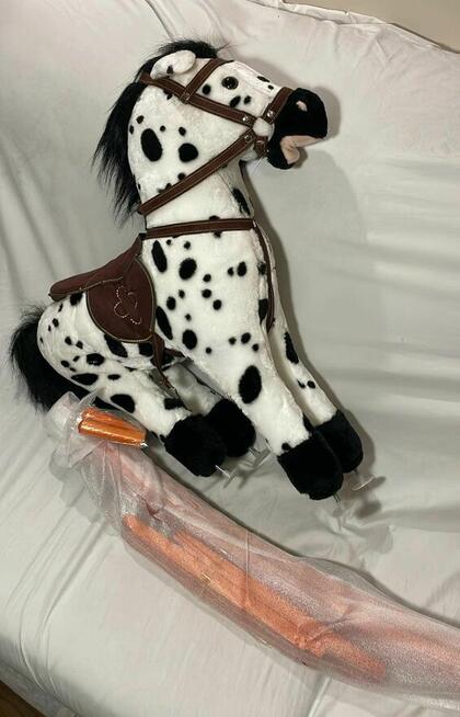 Konik na biegunach Bayer Chic