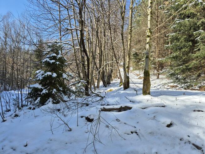 rolna pod Tiny House, las, strumyk droga, 1 h od KR, Beskidy