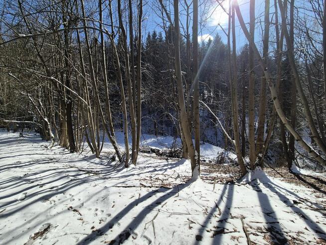 rolna pod Tiny House, las, strumyk droga, 1 h od KR, Beskidy