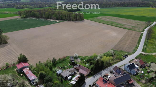 Działka budowlana i rolna w spokojnym Strzegowie