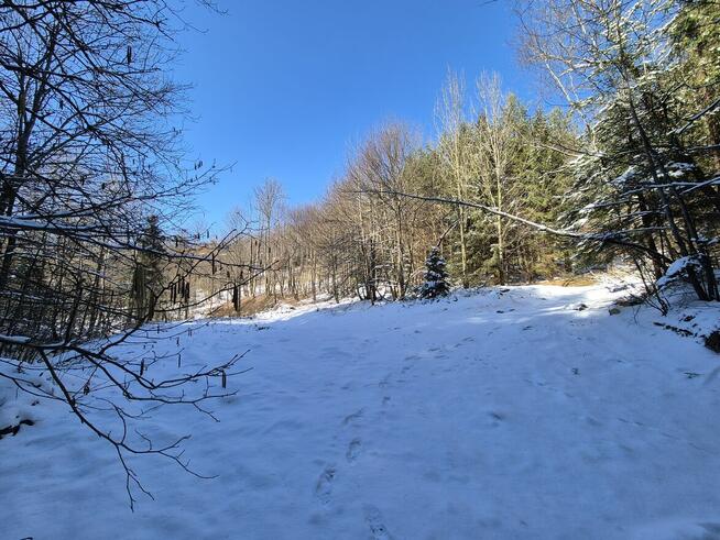 rolna pod Tiny House, las, strumyk droga, 1 h od KR, Beskidy