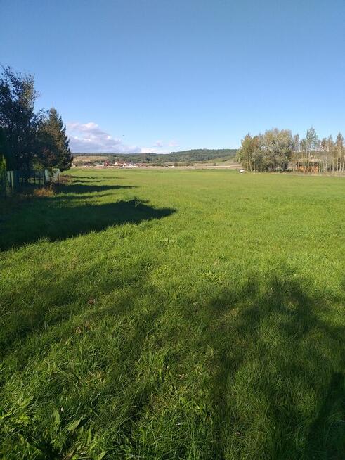Sprzedam pole 1,30 ha w Pasturce