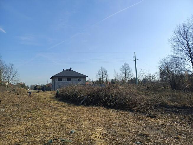 Wycinka drzew / krzewów / drewno