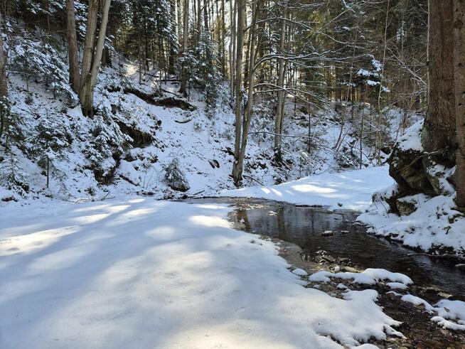 rolna pod Tiny House, las, strumyk droga, 1 h od KR, Beskidy