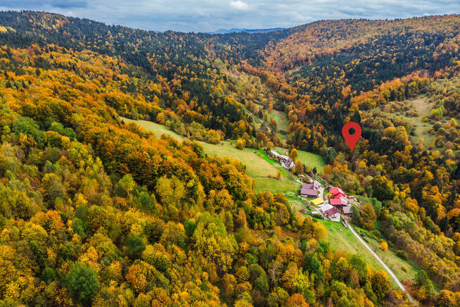 rolna pod Tiny House, las, strumyk droga, 1 h od KR, Beskidy