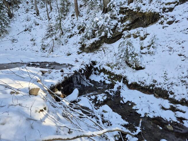 rolna pod Tiny House, las, strumyk droga, 1 h od KR, Beskidy