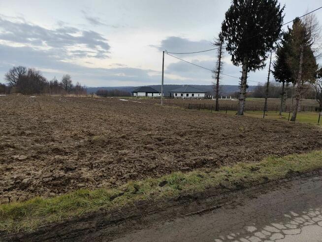 Sprzedam działkę, która znajduje się w miejscowości Jedlicze