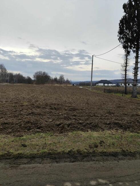 Sprzedam działkę, która znajduje się w miejscowości Jedlicze