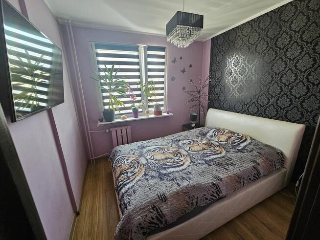 Mieszkanie w samym sercu Kielc - idealne dla rodziny!