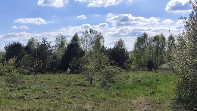 Myszków (Nowa Wieś) - działka rolna (3417m2)