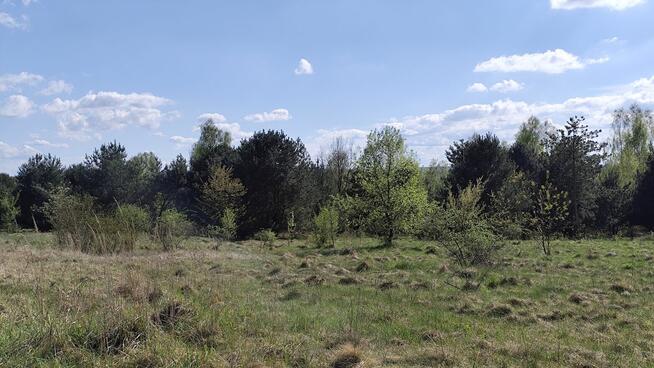 Myszków (Nowa Wieś) - działka rolna (3417m2)