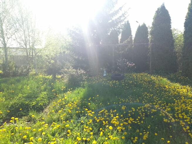 Dom dwumieszkaniowy 200mkw plus mieszkanie 34kw Pyrzyce