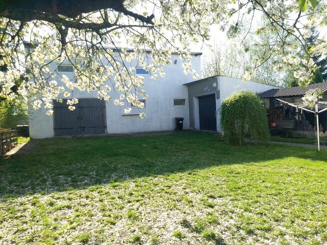 Dom dwumieszkaniowy 200mkw plus mieszkanie 34kw Pyrzyce