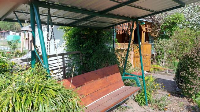 Sprzedam działkę ogrodową ROD Leśna Polana