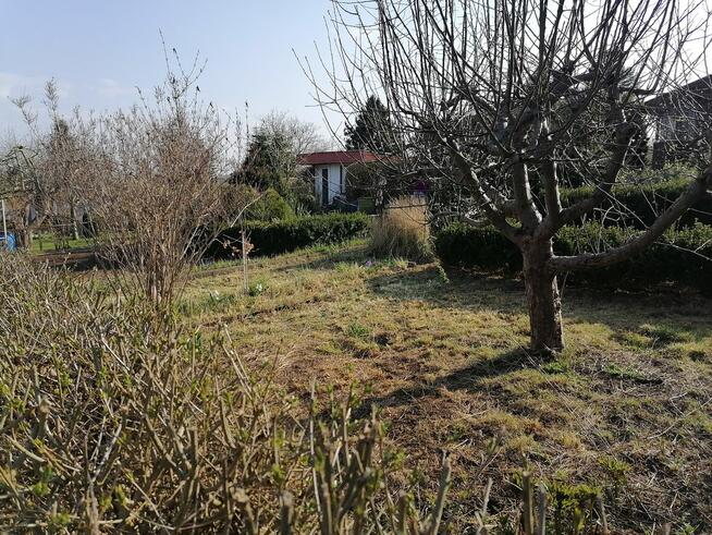 Działka ROD Janiska