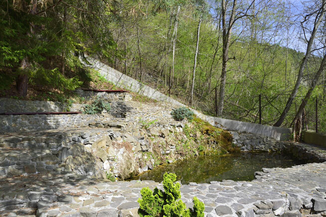 Sprzedam dom w górach, z basenem i boiskiem.