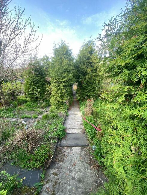 Sprzedam działkę ogrodową