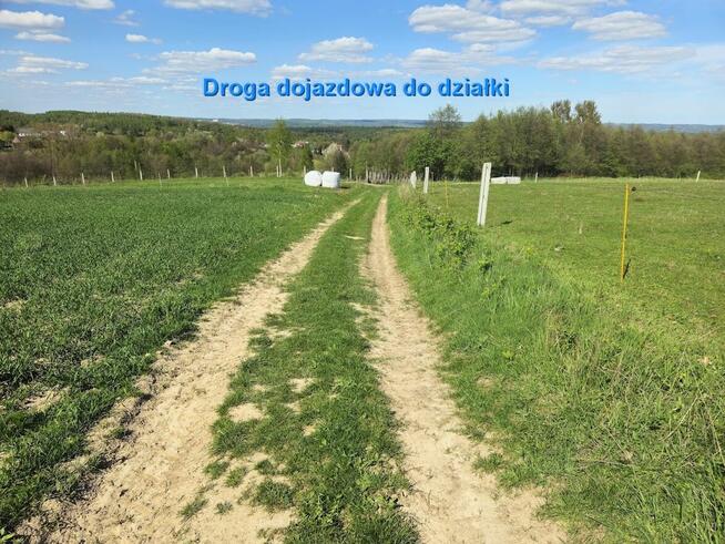 Sprzedam działkę rolną o powierzchni 1,09 hektara