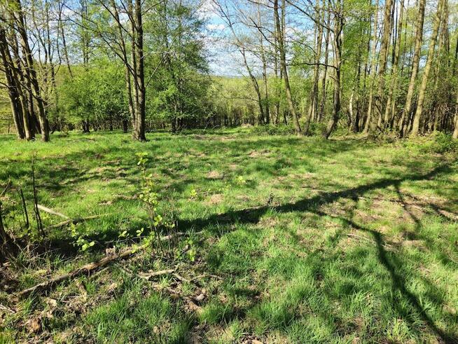 Sprzedam działkę rolną o powierzchni 1,09 hektara