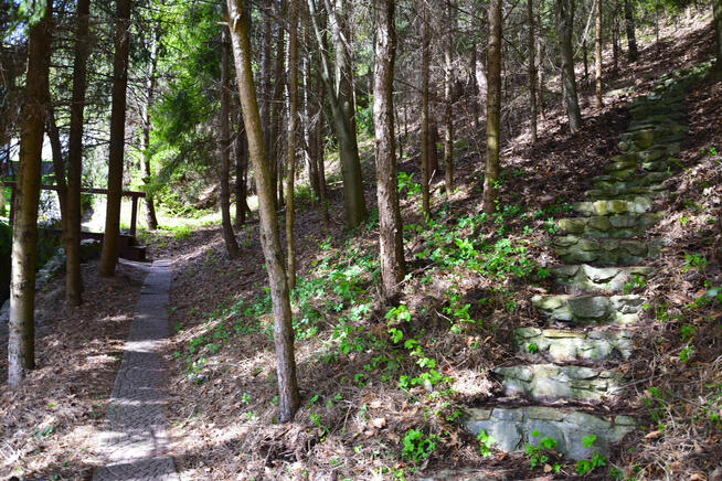 Sprzedam dom w górach, z basenem i boiskiem.