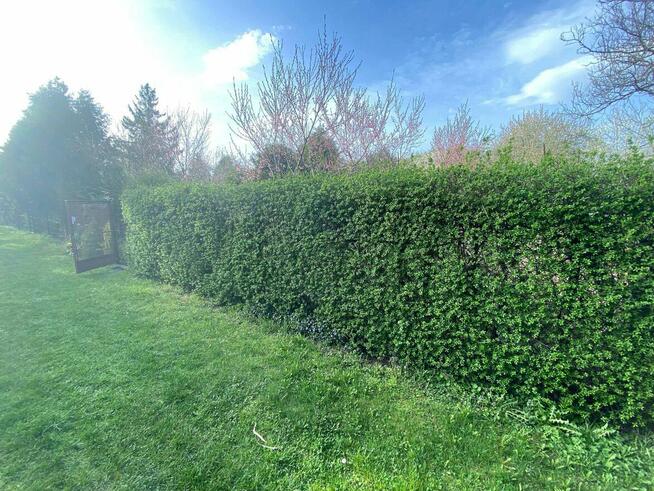 Sprzedam działkę ogrodową