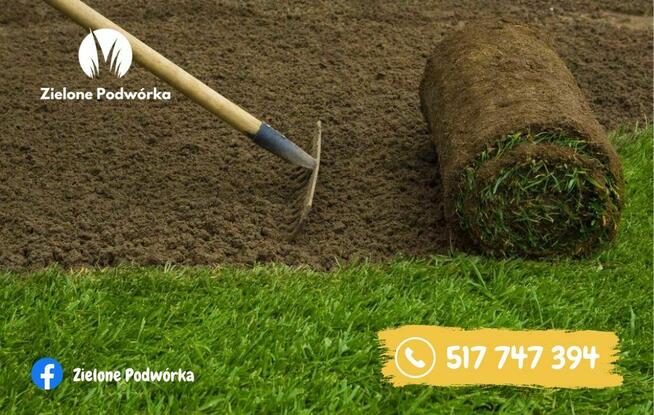 Trawa w rolce. Trawnik rolowany. Dostawa