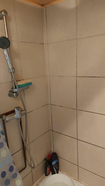 Sprzedam działkę ogrodową ROD Leśna Polana