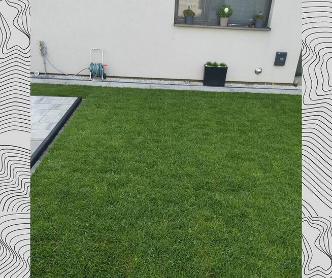 Trawa w rolce. Trawnik rolowany. Trawnik w jeden dzień.