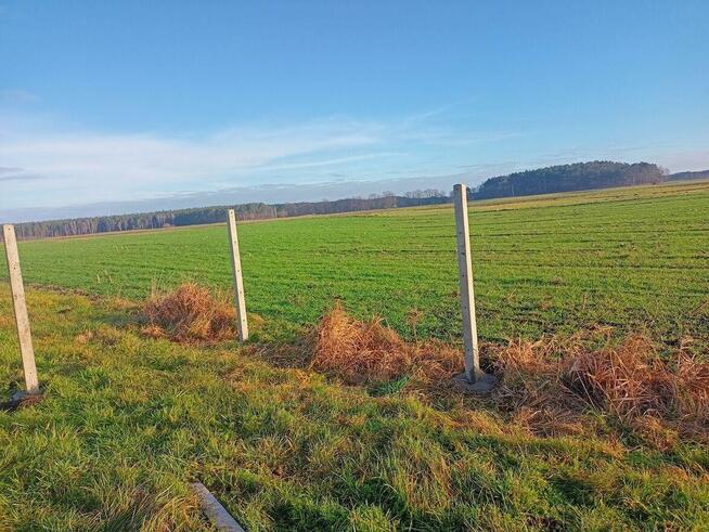 Działka 3000m koło Bydgoszczy