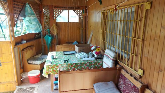 Sprzedam działkę ogrodową ROD Leśna Polana