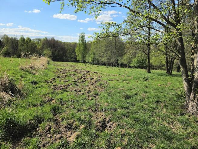 Sprzedam działkę rolną o powierzchni 1,09 hektara