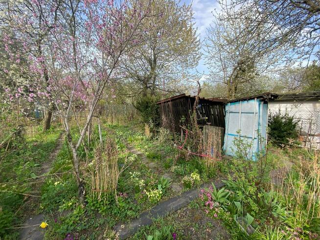 Sprzedam działkę ogrodową