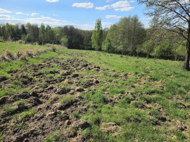 Sprzedam działkę rolną o powierzchni 1,09 hektara
