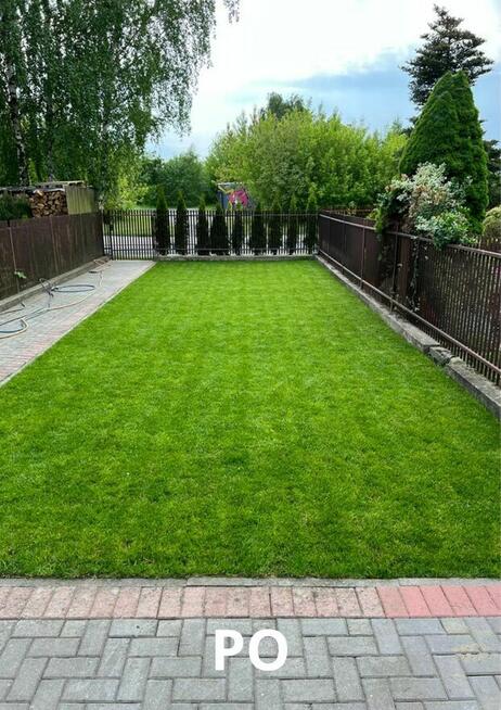 Trawa w rolce. Trawnik rolowany. Dostawa