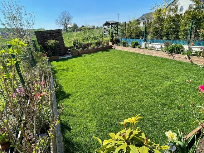 Trawa w rolce. Trawnik rolowany. Dostawa