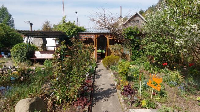 Sprzedam działkę ogrodową ROD Leśna Polana