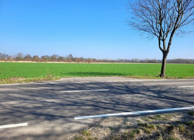 Sprzedam działki budowlane