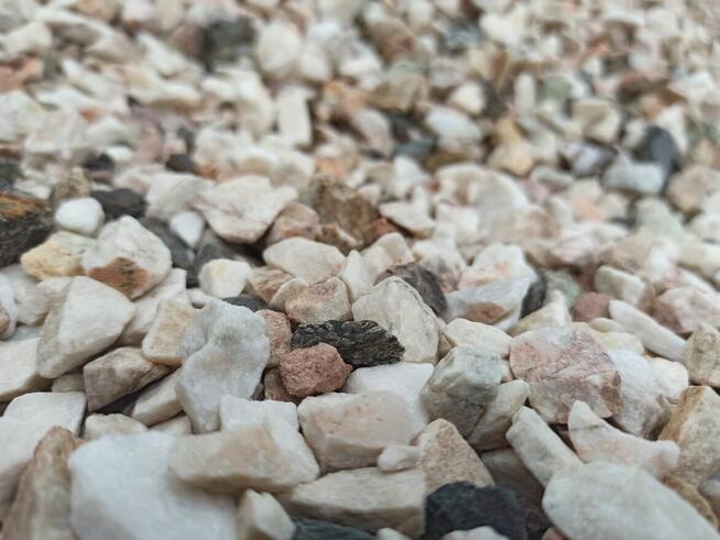 Grys Ogrodowy Pastelowy Cappucino Janowicki Marianna Kora