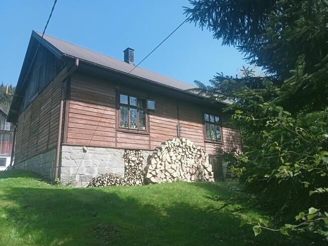 Sprzedam drewno opałowe