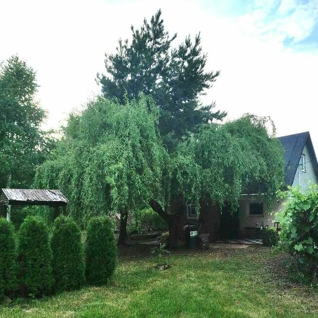 Siedlisko, 20 minut od Warszawy zamienię na mieszkanie/lokal