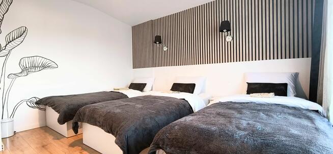 Noclegi Krosno / Korczyna