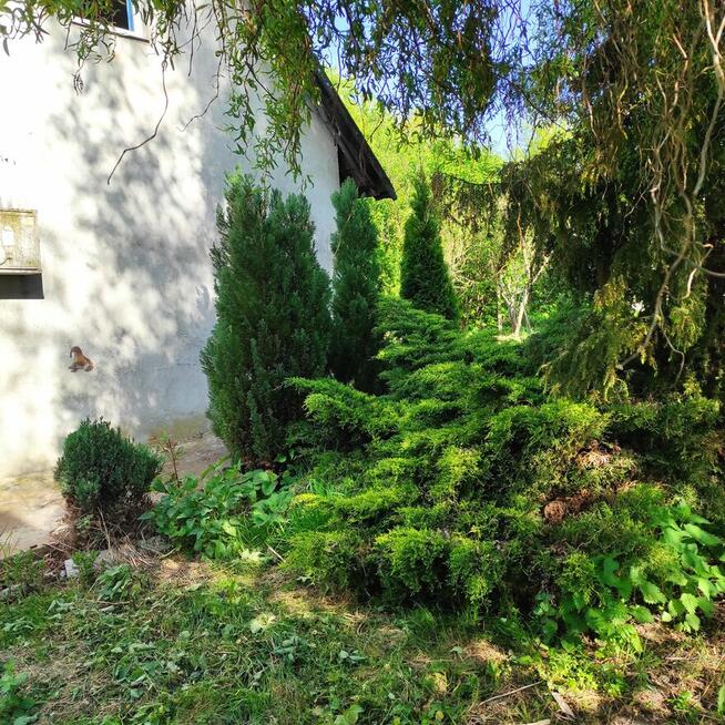 Siedlisko- 20 minut od Warszawy- okolice Mogielnicy/grójecki