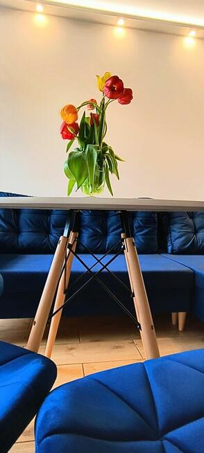 Noclegi Krosno / Korczyna