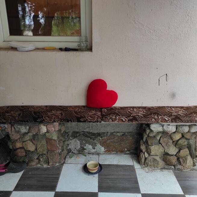 Siedlisko- 20 minut od Warszawy- okolice Mogielnicy/grójecki