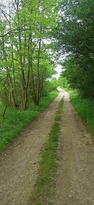 Działka budowlana Dobropole Gryfińskie